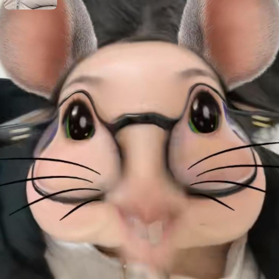 韭菜zZ
