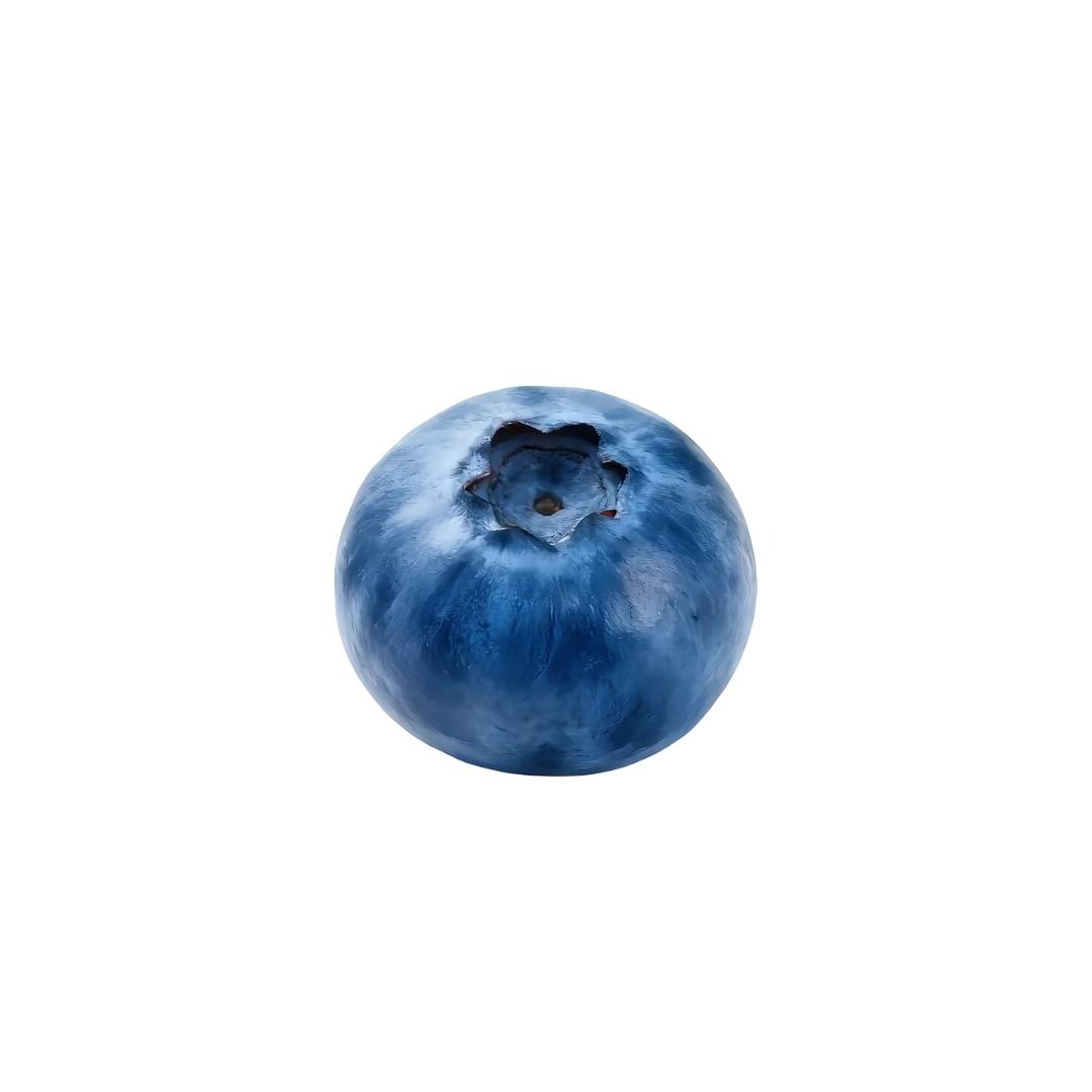 以昂