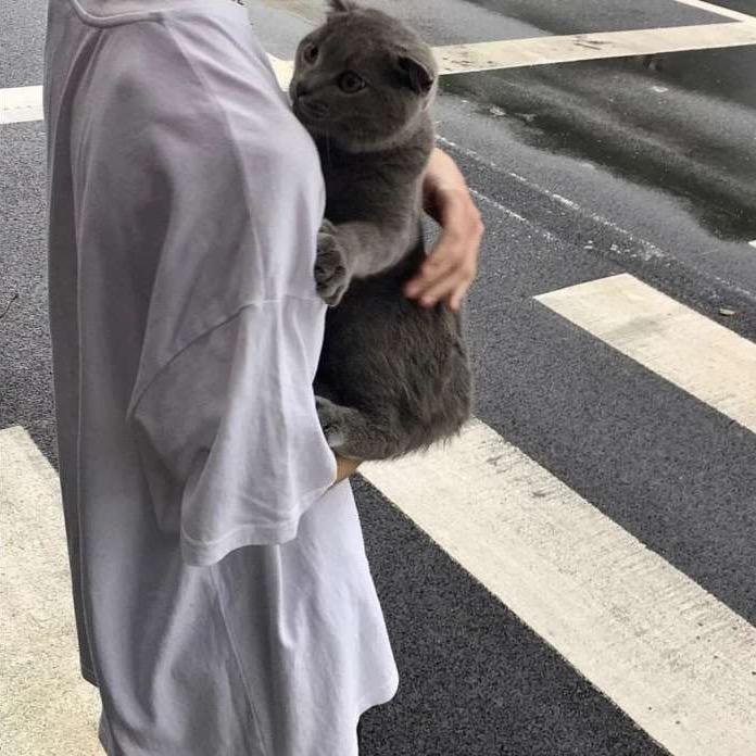 齐洪亮  众城驾校🐋