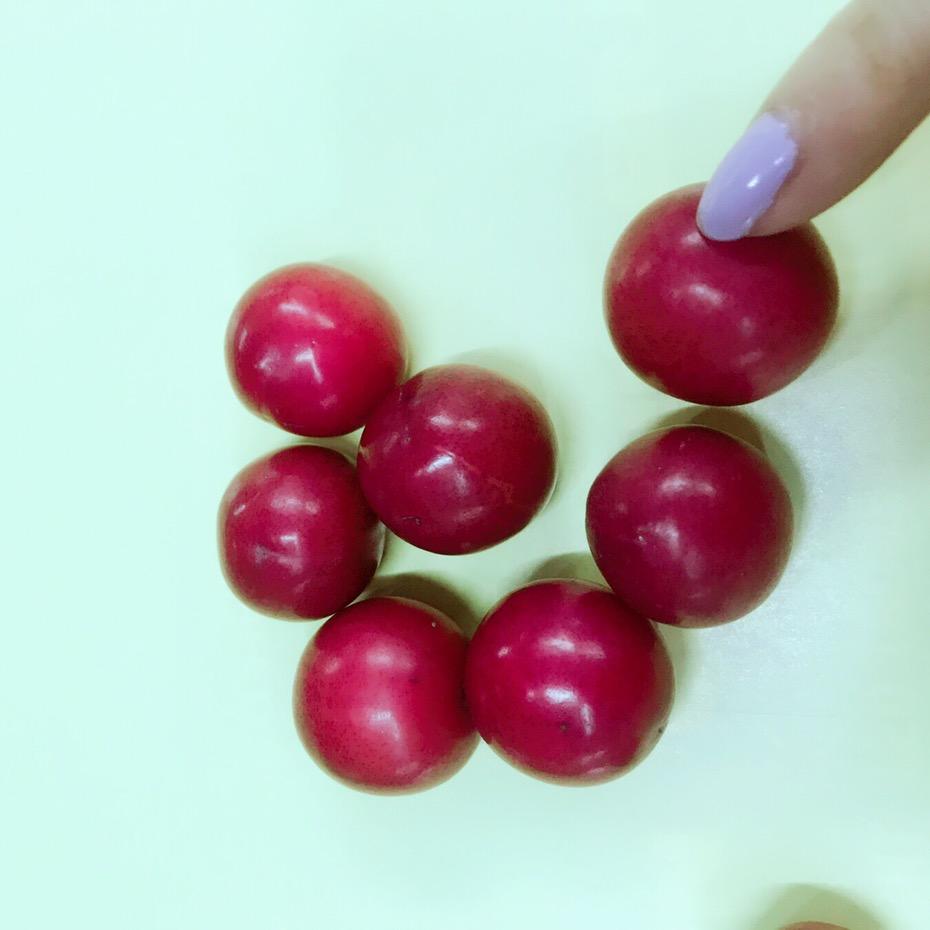 🐲龍飞凤舞🐲