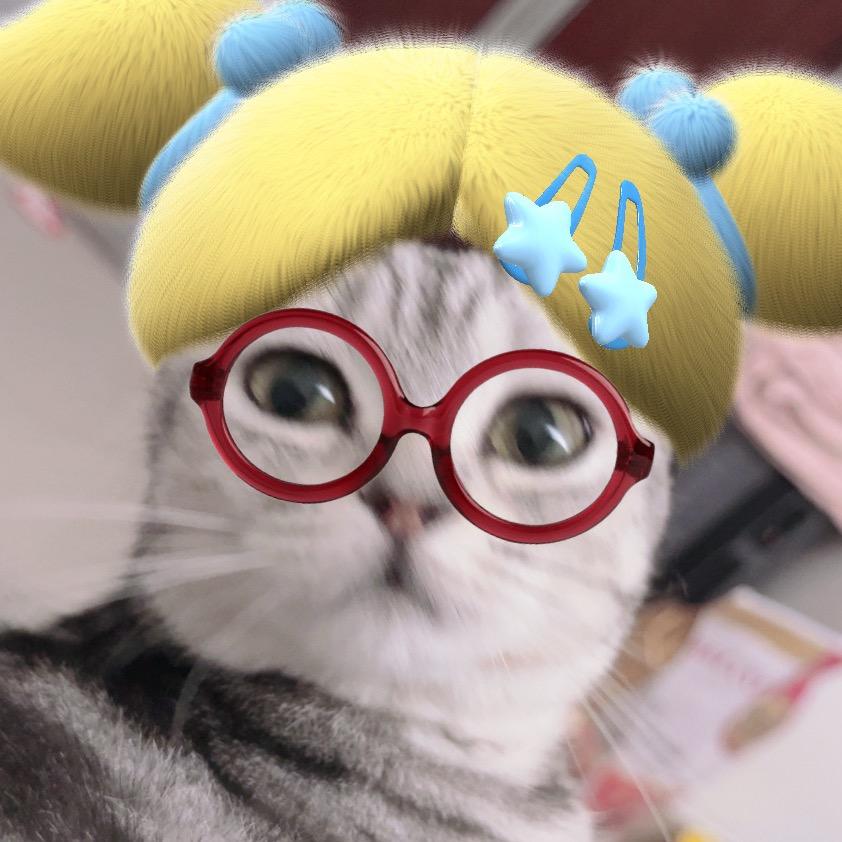 龙宝宝