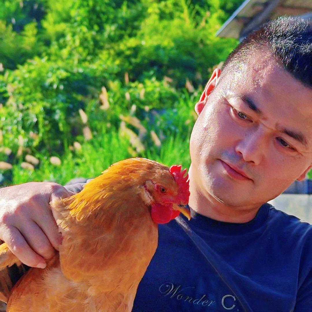 洪庄主的农场