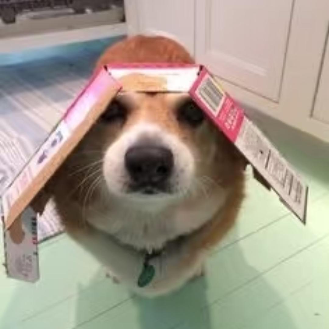 有你好果汁吃