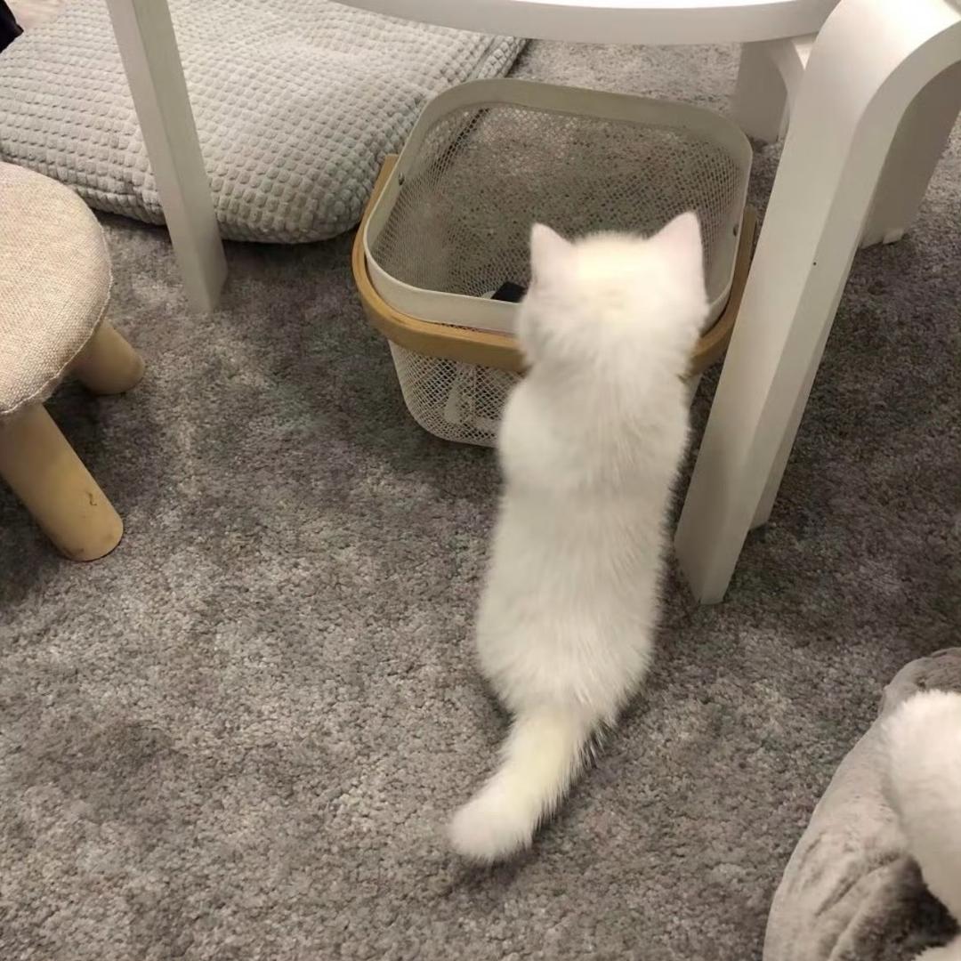 在水一方