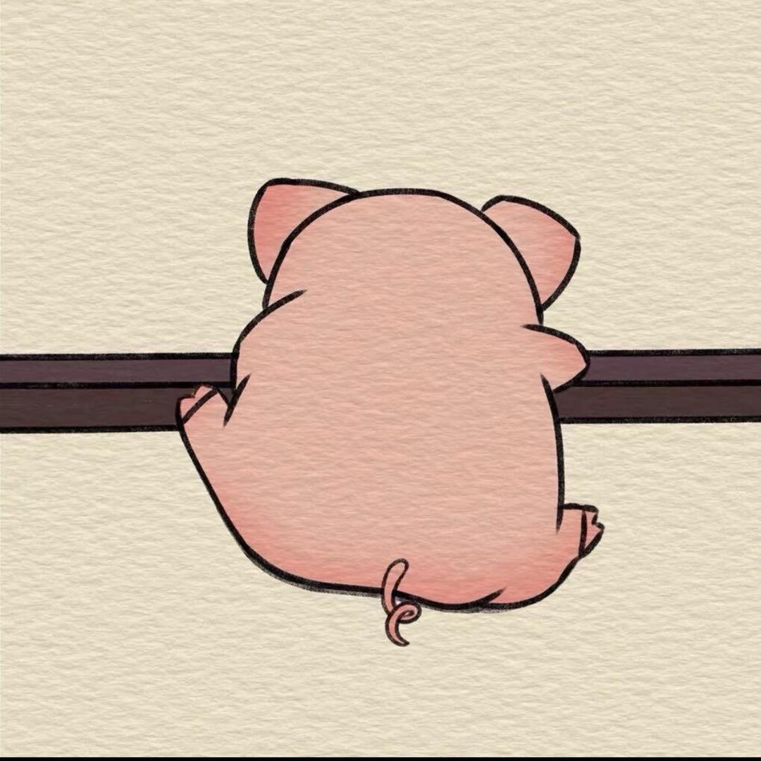 OK.🐷