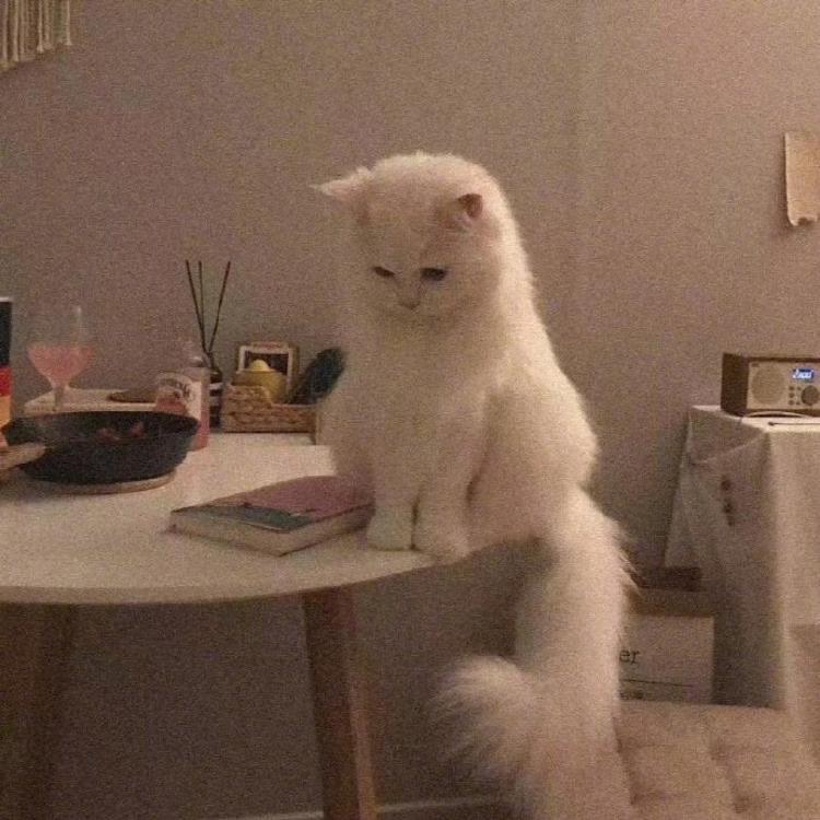 里里.
