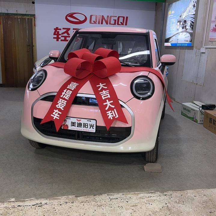 濮阳井下华起电动车商行