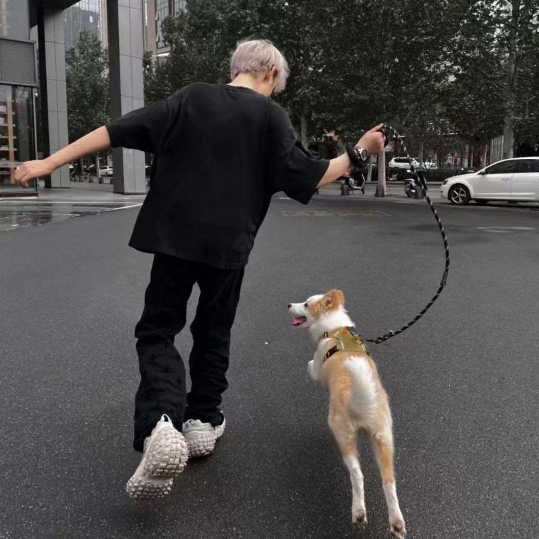 锅锅锅锅锅锅包肉