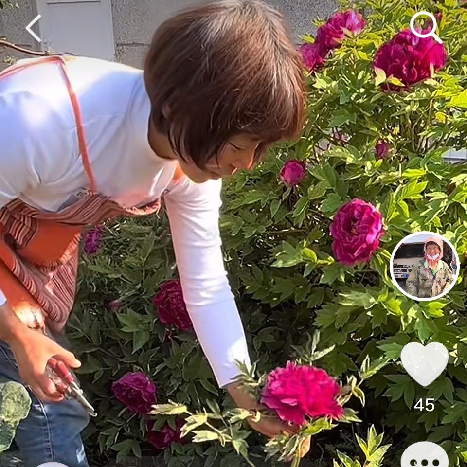 @梅子的日常