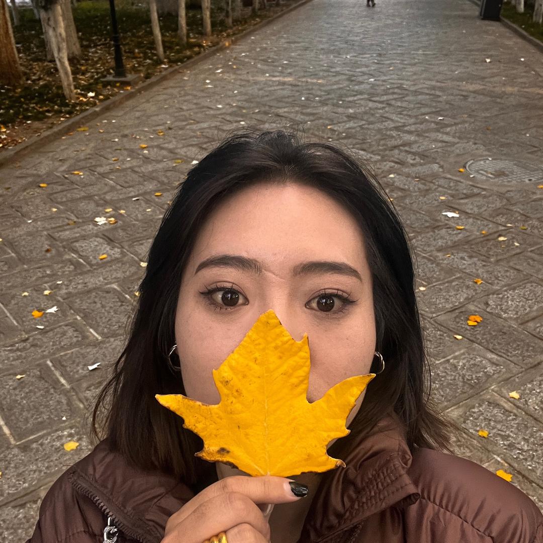 山茶花¥