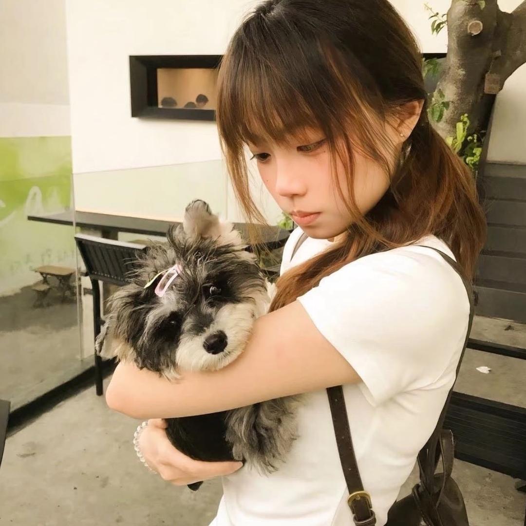 轻轻乌龙