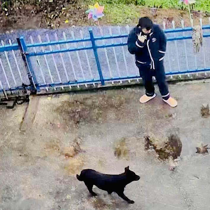 何半神