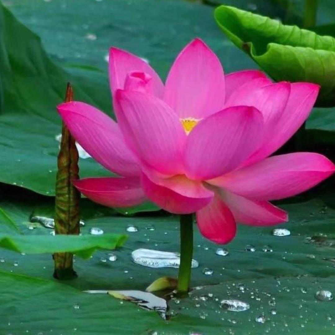 静缘堂🙏沈🙏