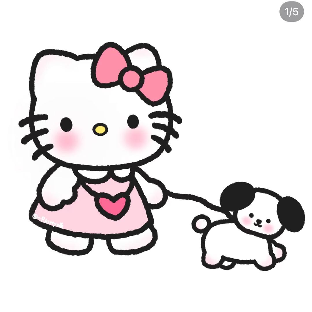迪伽老师