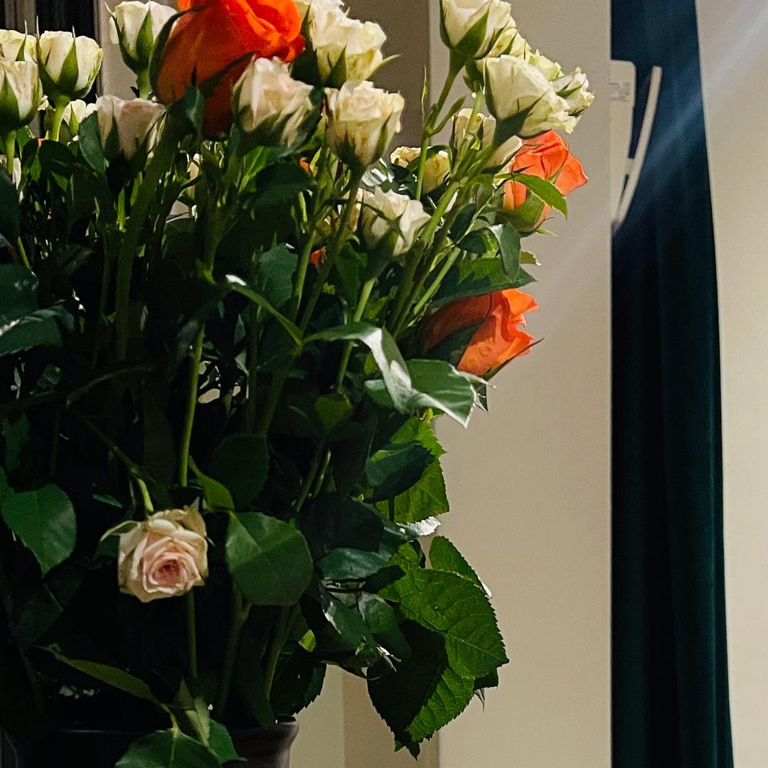 奥利奥牛奶好好喝