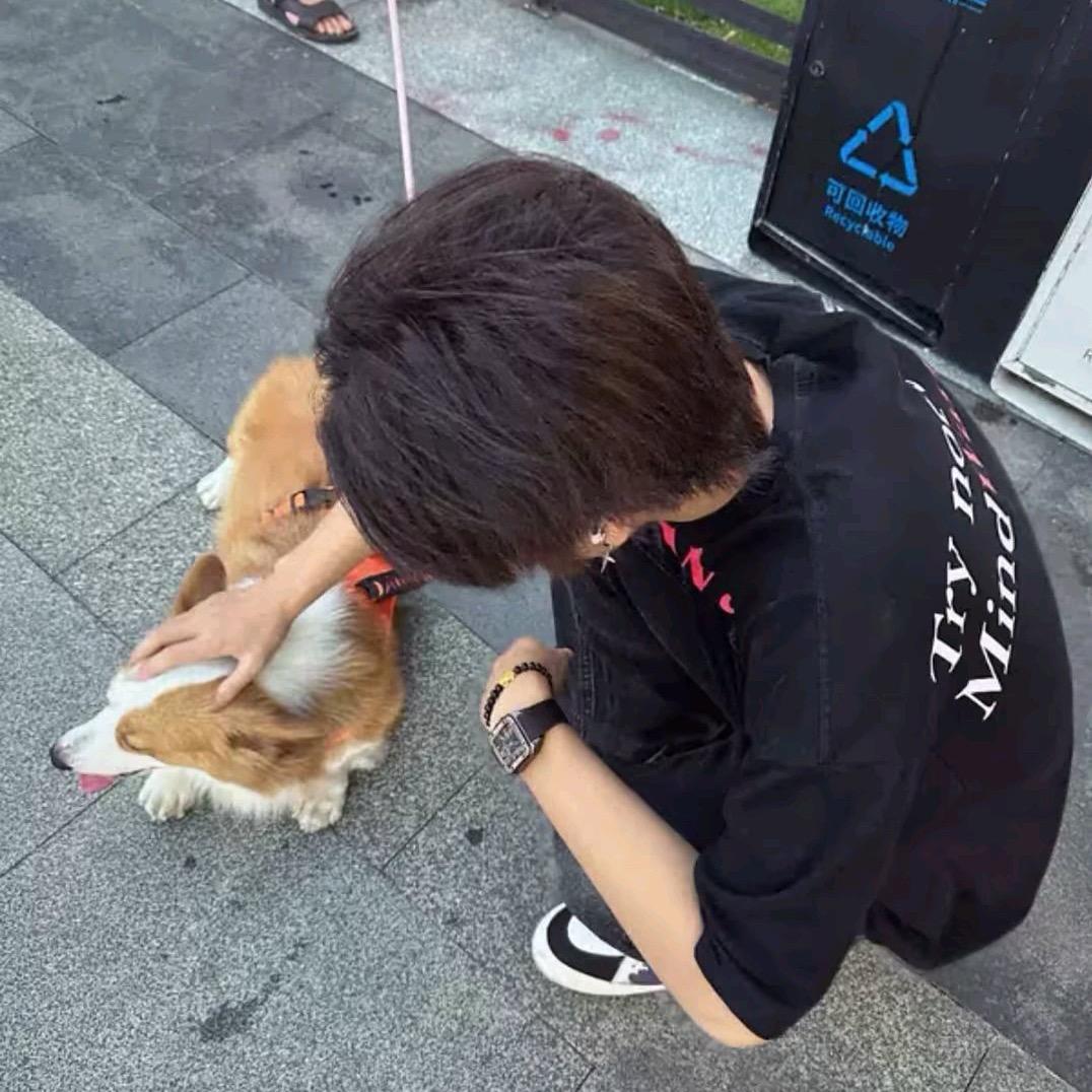 磊子