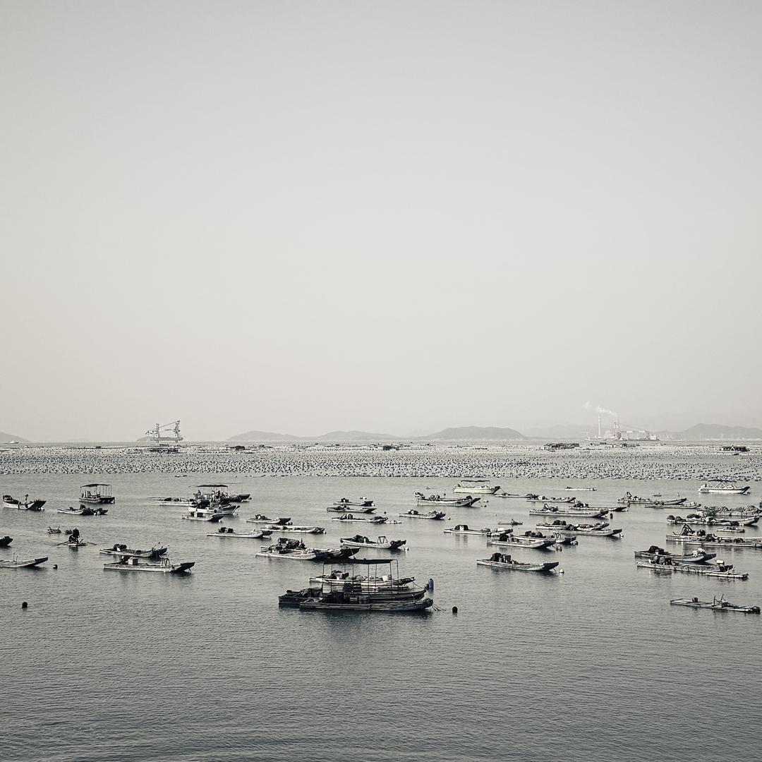 wang汐