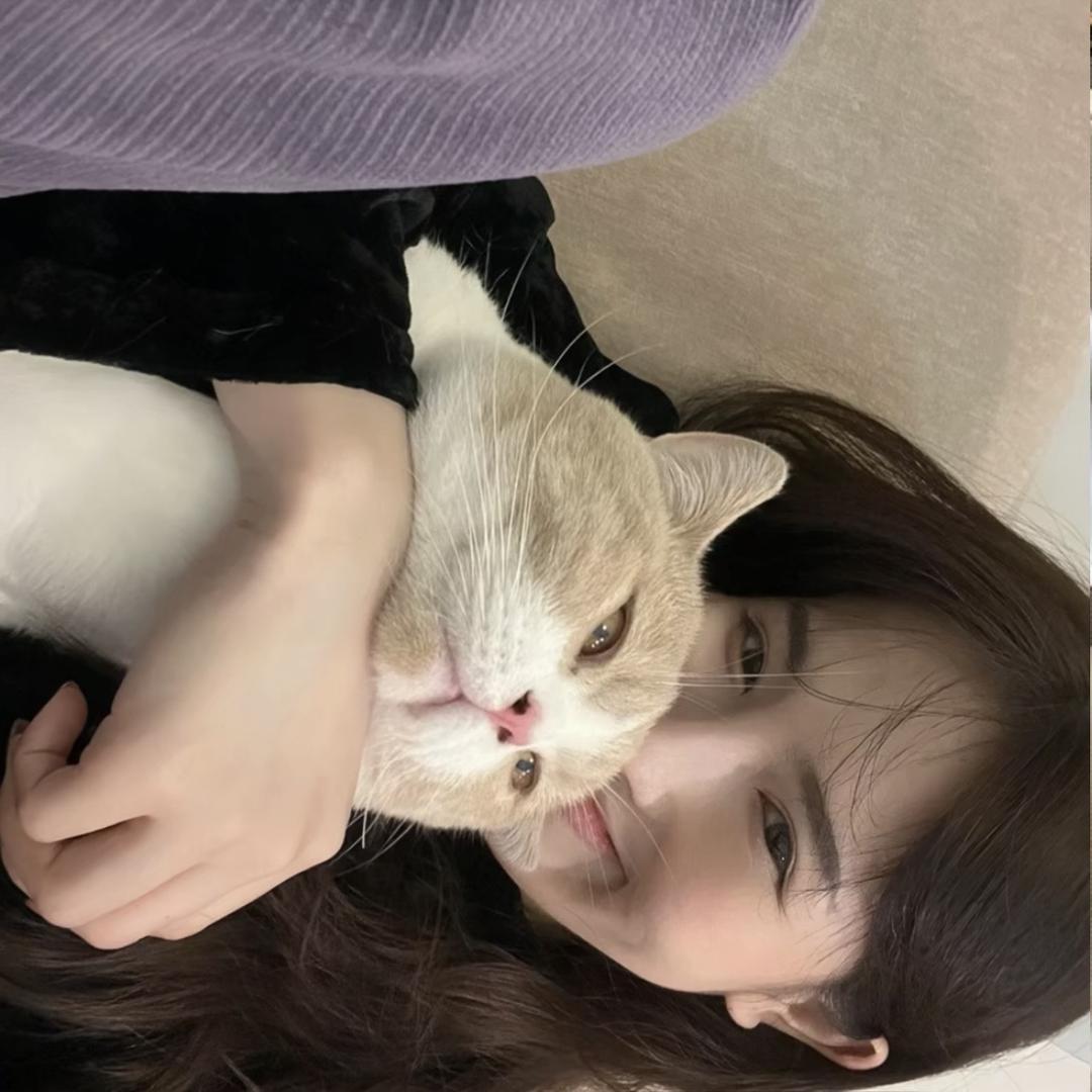 忘了那段情.🫧