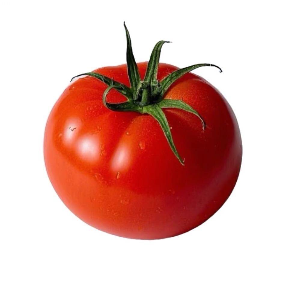 哒遍超人（躺平版）