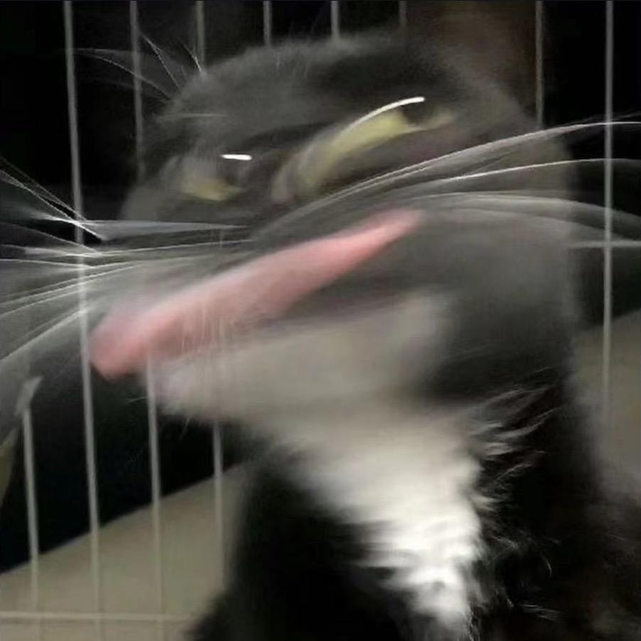 小半桶Fun Bro🌿