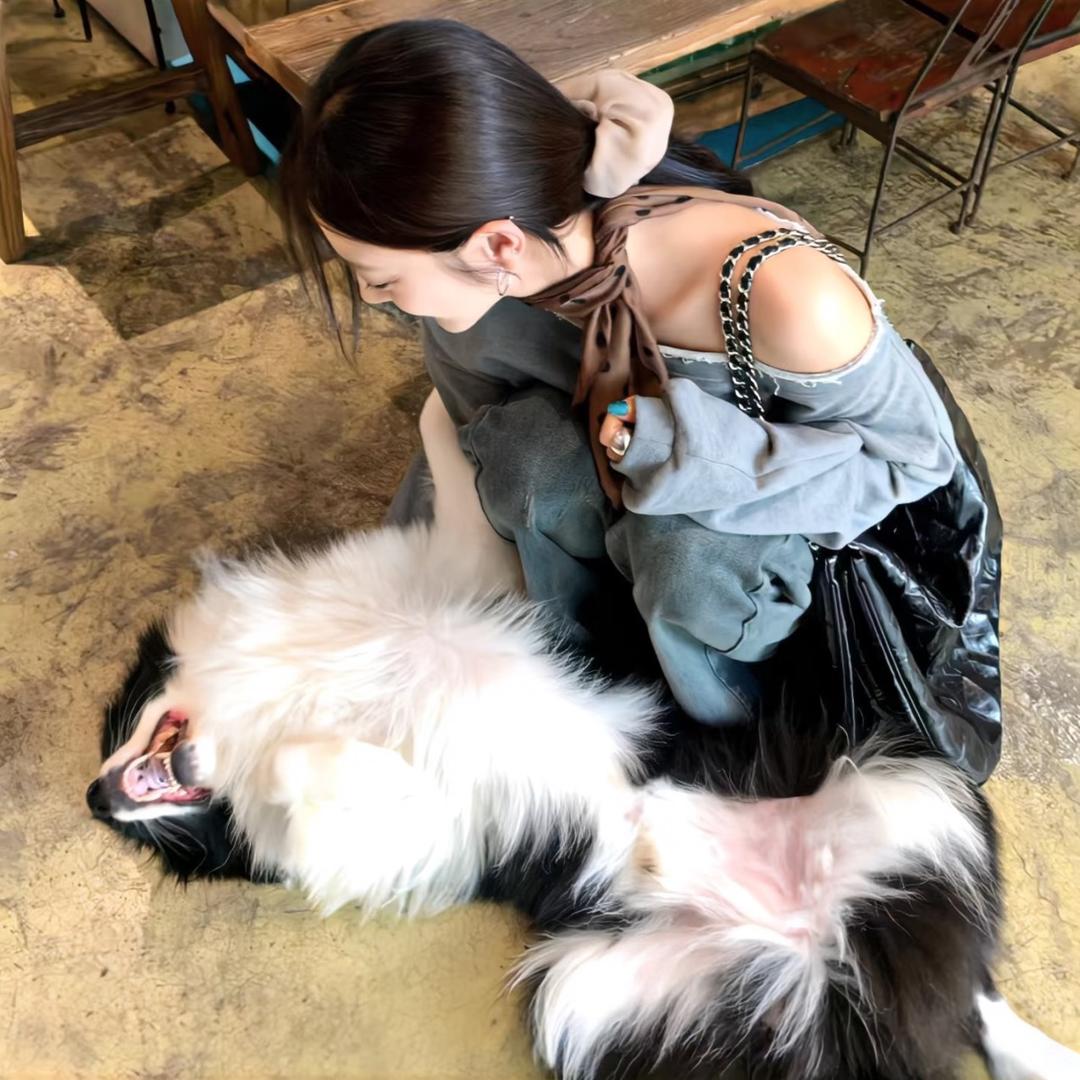 ʚ小鱼饼干ɞ