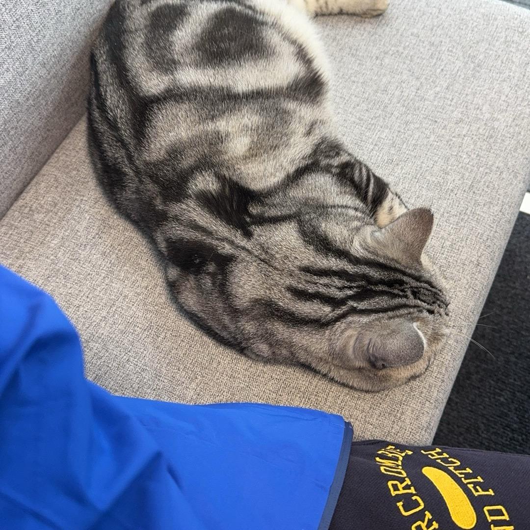 不如回家喝自来水