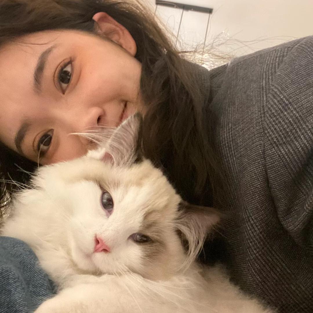 哈哈潮玩家