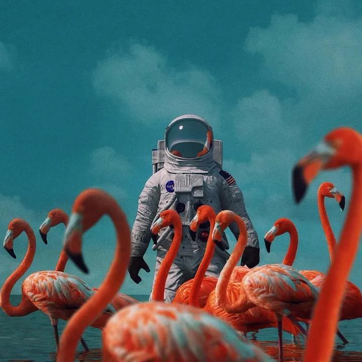 沙瑞金