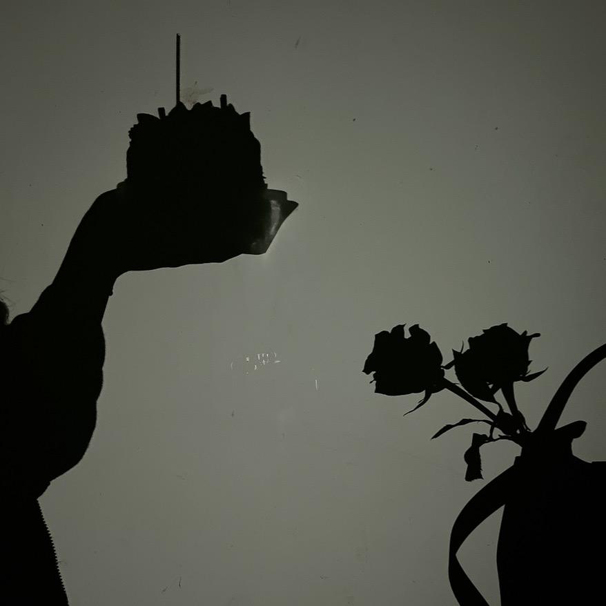 🌟一柯小白菜吖