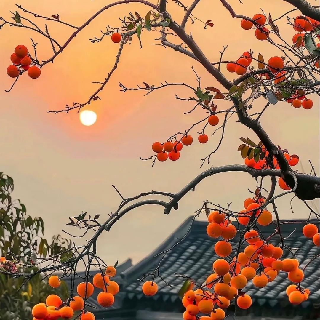 女性觉醒