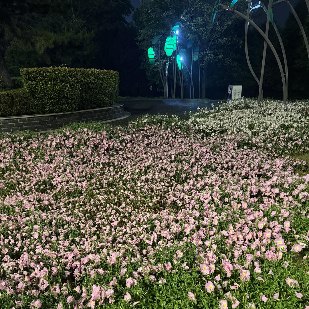 阜平县青兰香百货店（个体工商户）