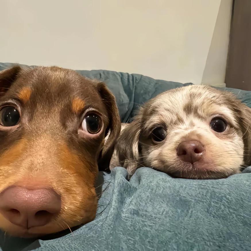 ㅤㅤㅤㅤㅤㅤㅤ不逢海