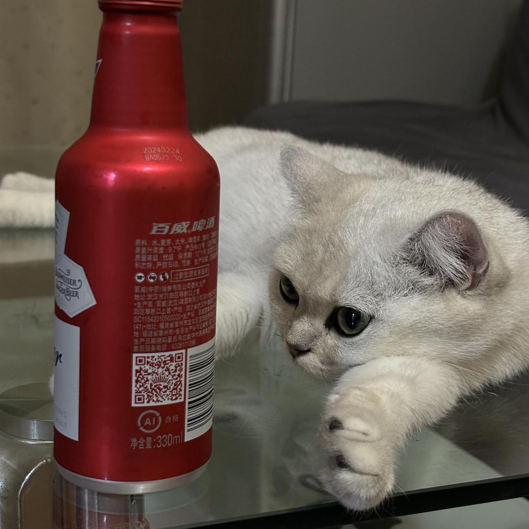 闪电小狗🥷