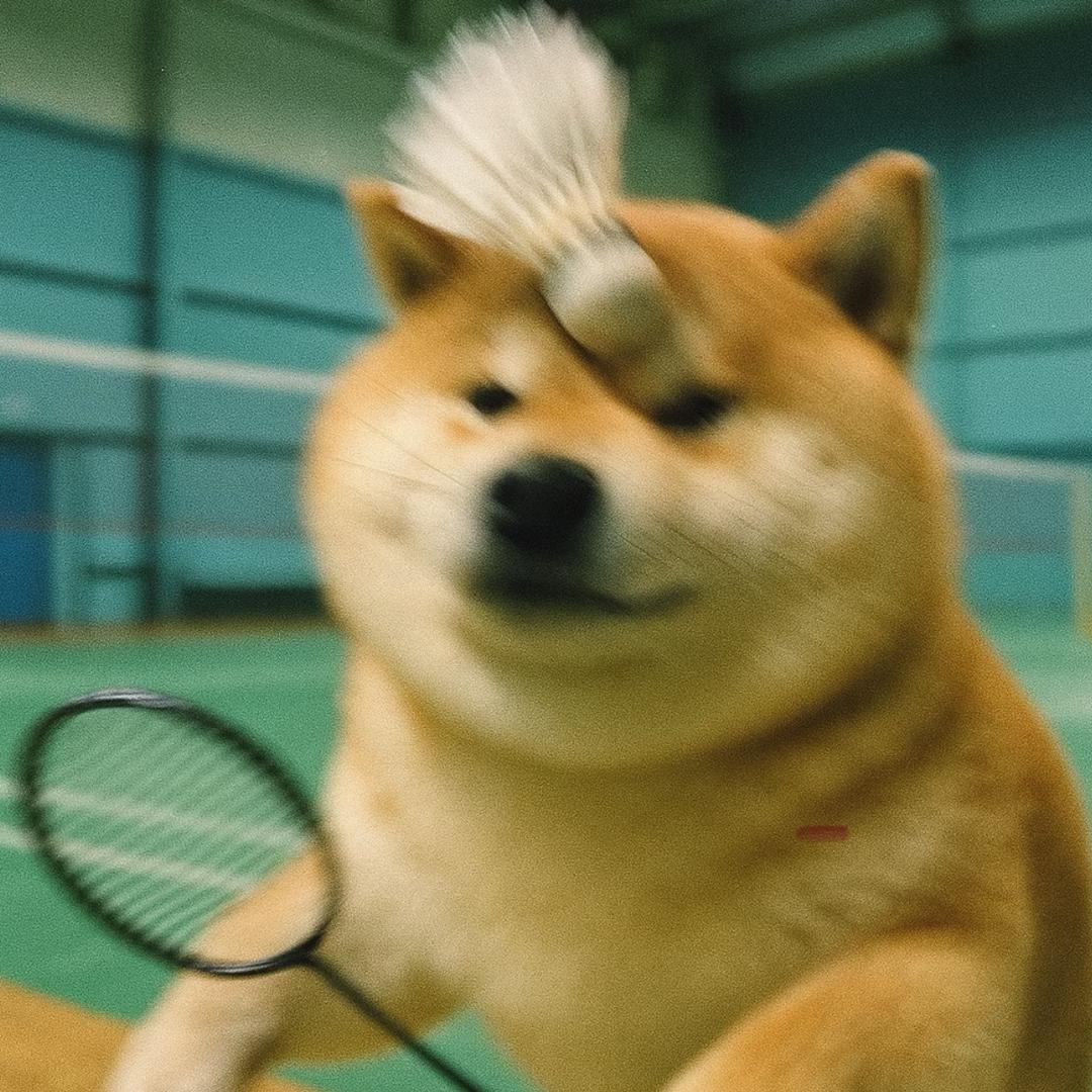 不会握拍儿