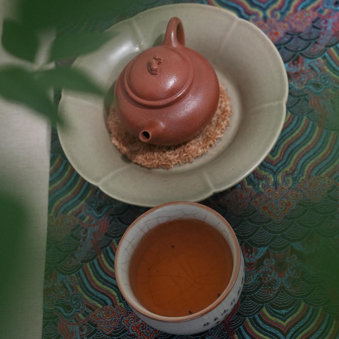 茶隐