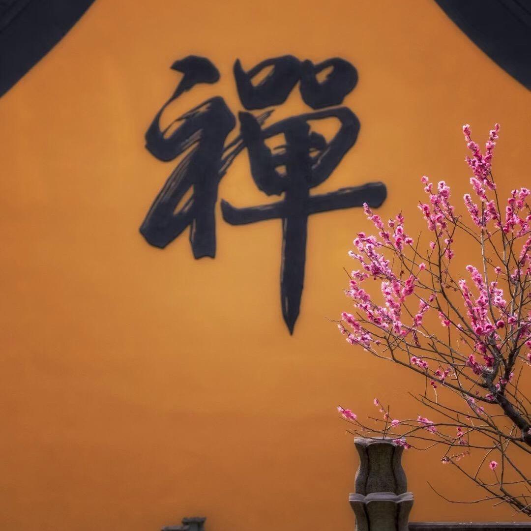 禅心佛语