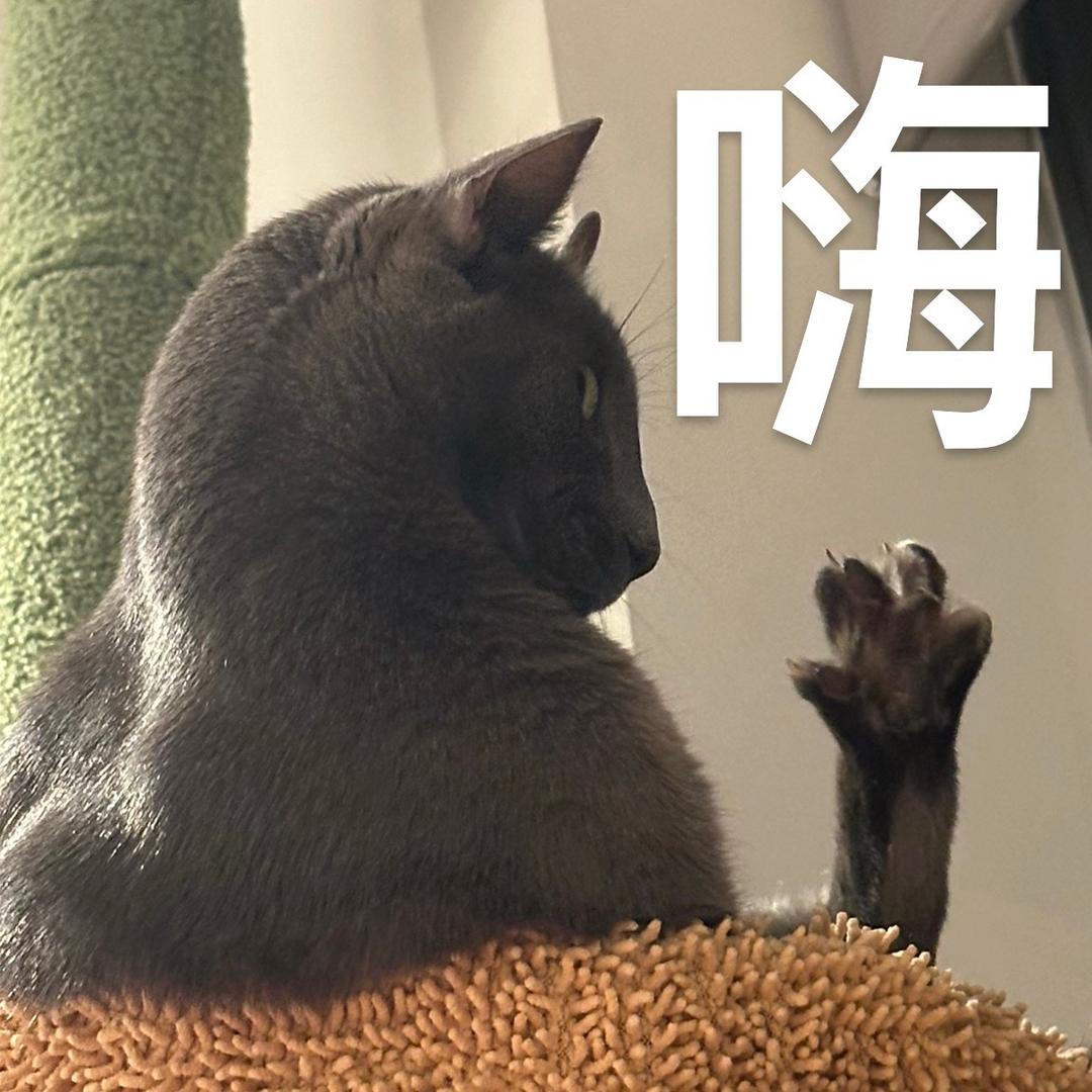 JioJio