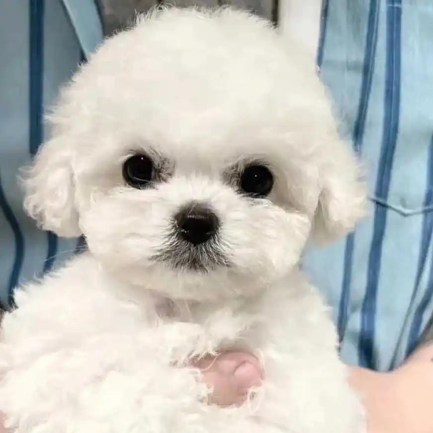 上班带娃养殖 79520844370