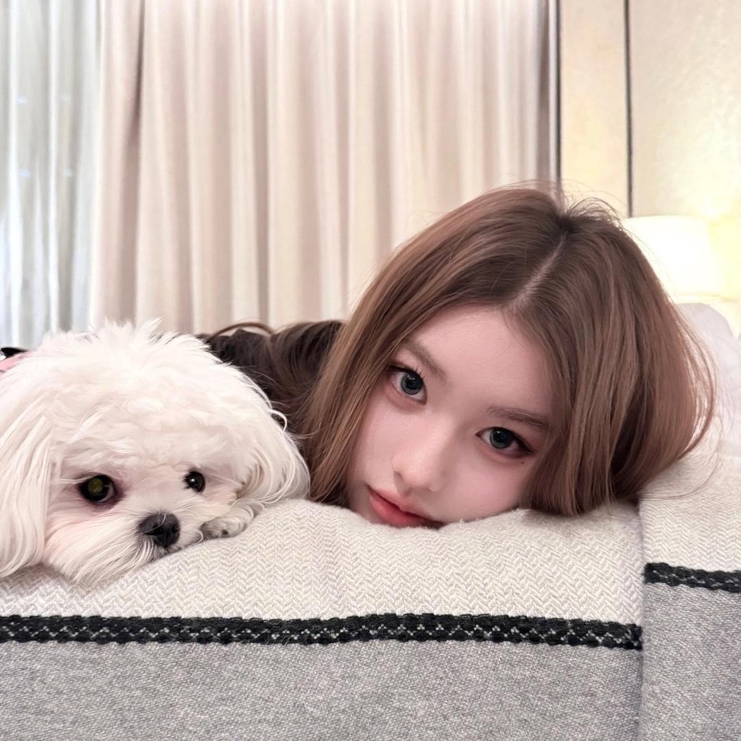 小羊不吃葱
