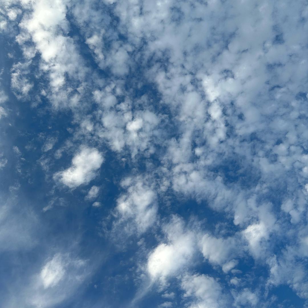 陈陈