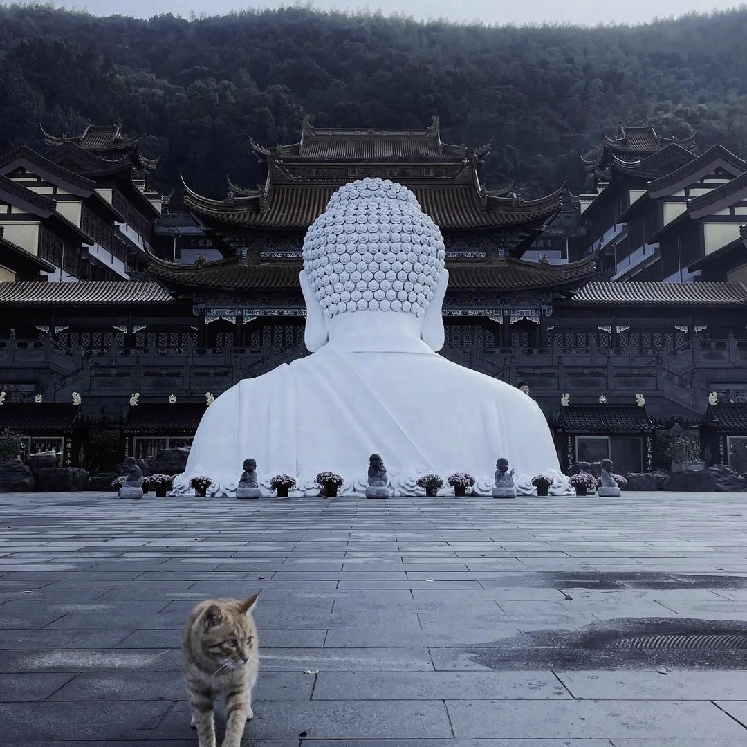 孟㞮孞