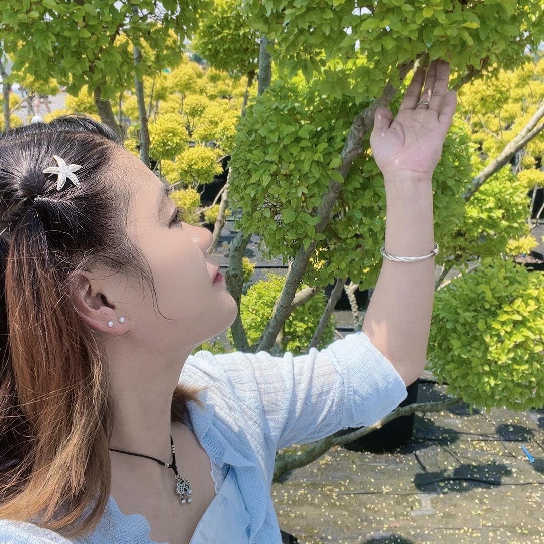 @花💞姐