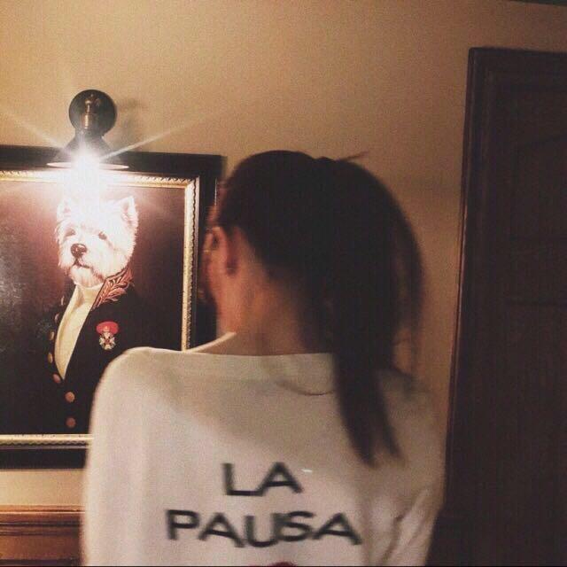 Y。🐰
