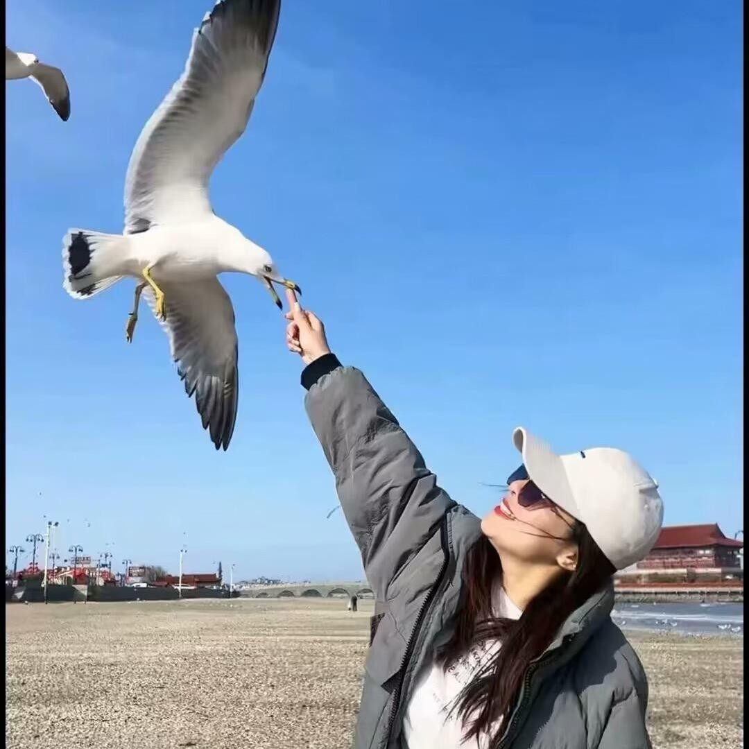 蓬莱厨房电器艳艳