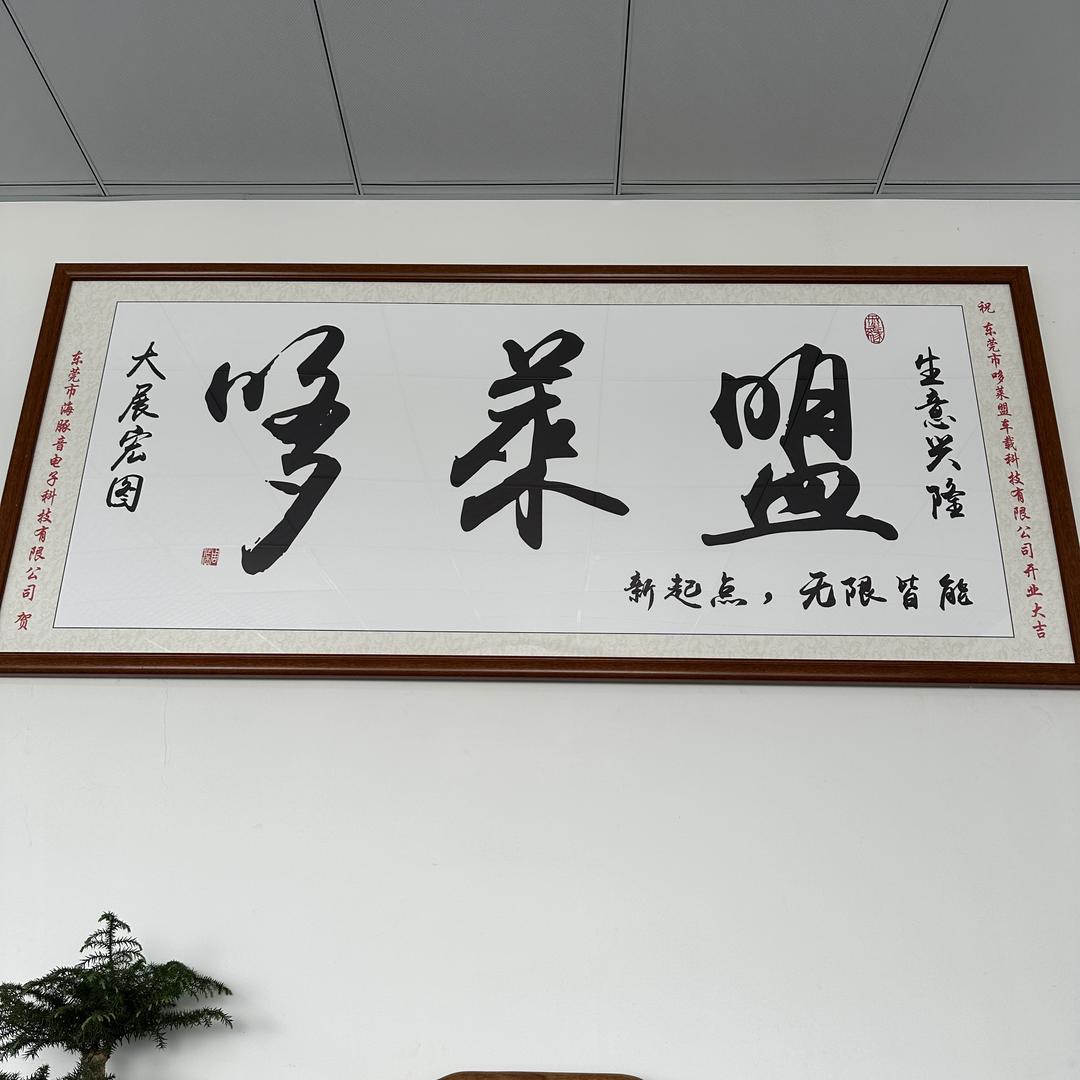 哆莱盟新能源后舱娱乐屏