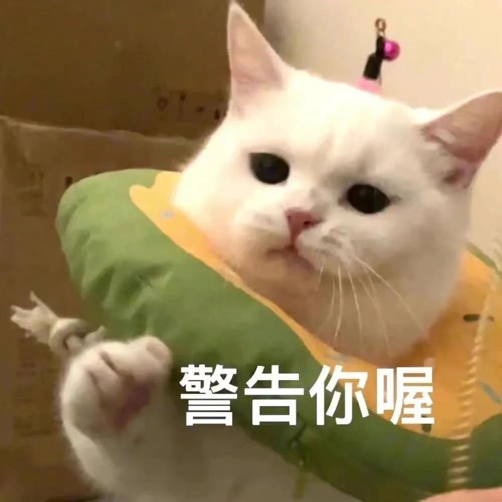小魏专属保镖