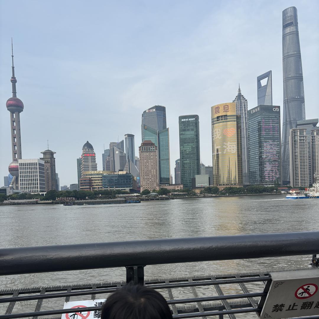 81287951201的头像