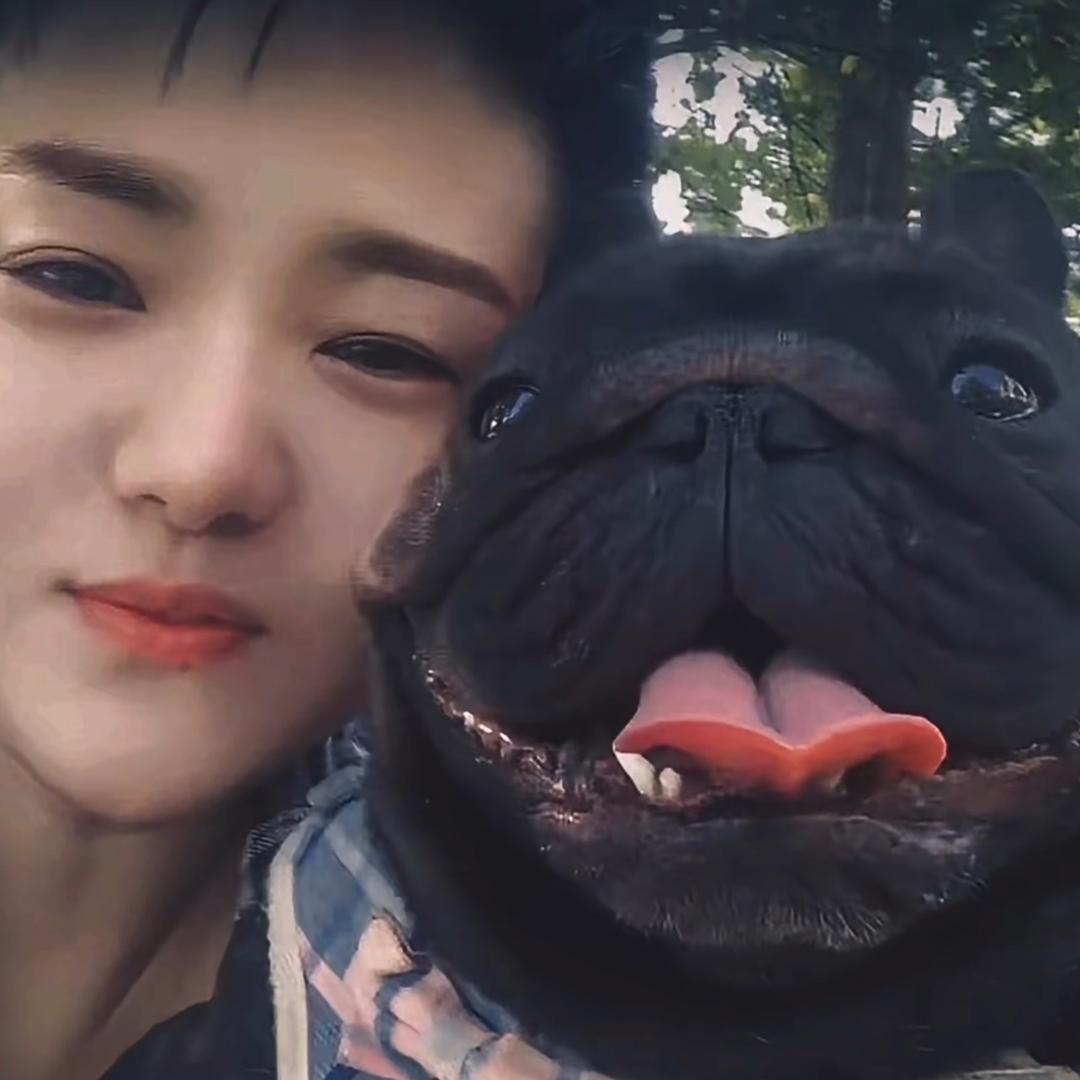 魔斗犬舍V2