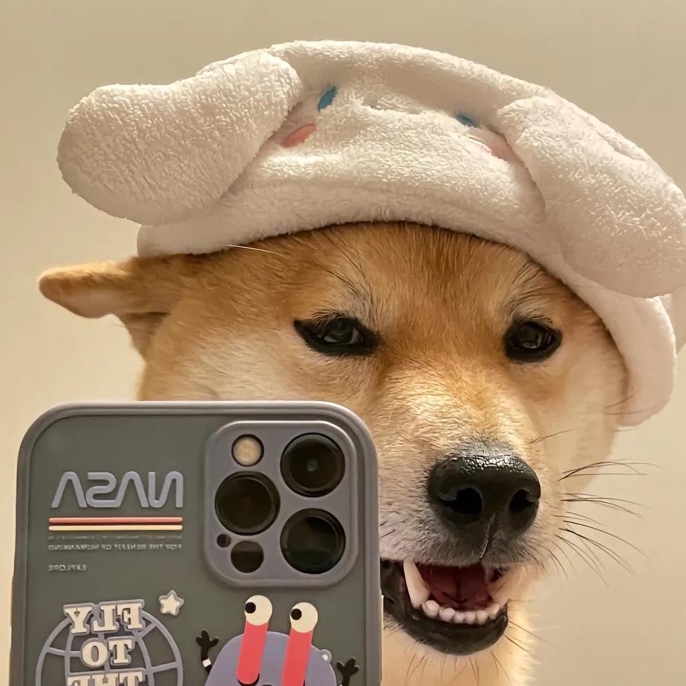冰爽柠檬