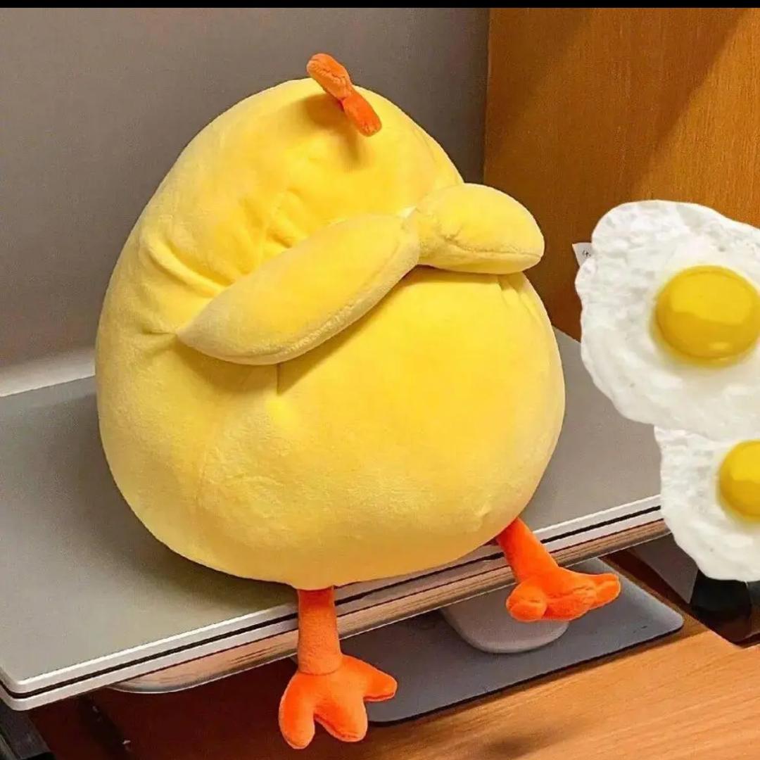 哇塞呀